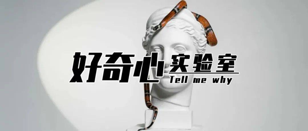 这些奇葩恐惧症,比密恐还吓人!_肚脐_患者_工作