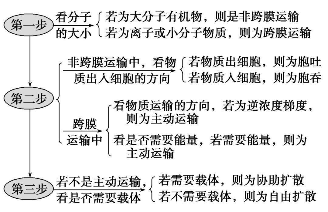 高中生物知识点 生物膜的流动镶嵌模型及物质跨膜运输的方式