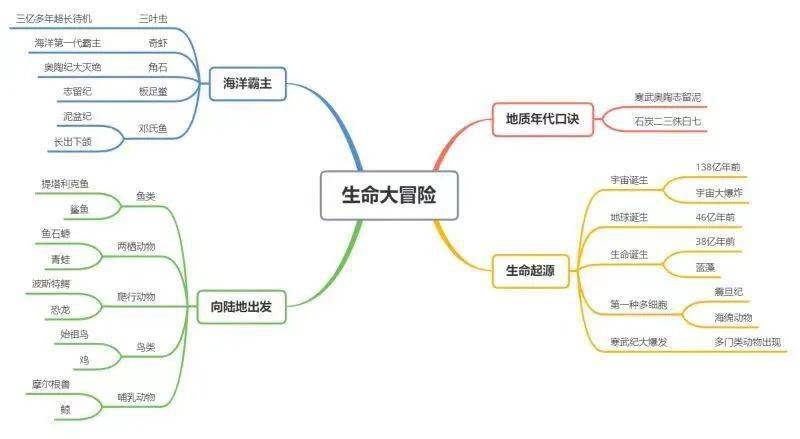 而这种利用思维导图整理知识的学习方式,对孩子也是一种很好的思维