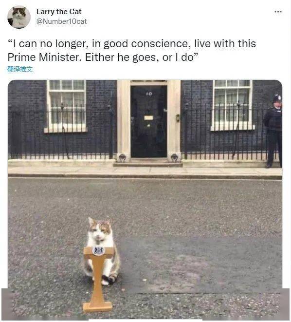 Ӣ����̳�����𡱣� ����Լ��ѷΪ�γŲ�ס�ˣ�