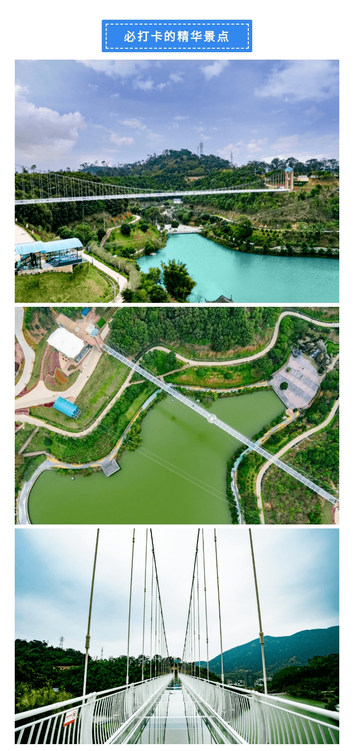 信宜莲花湖导览图图片