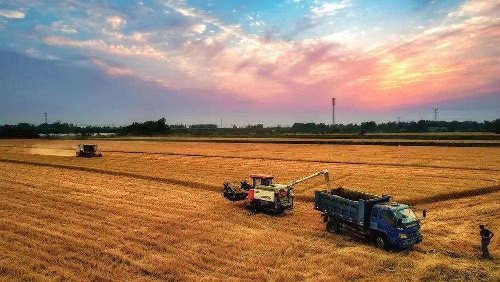 美图美景农业强农民富农村美三部曲810