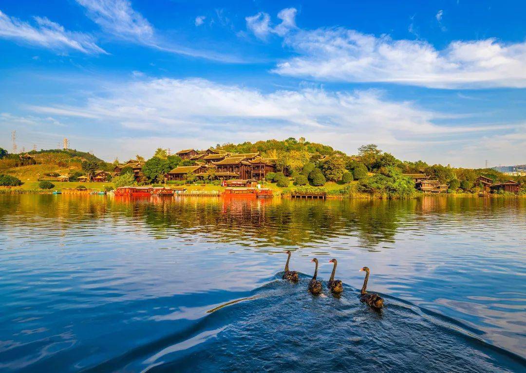 章雪明 攝龍盛公園群公園群龍盛99路線指南:三板溪公園→雙溪溼地