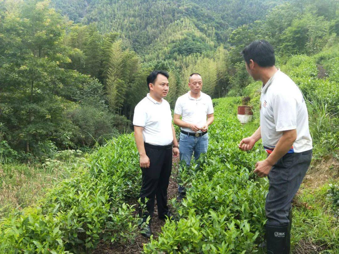 陈坊乡乡长杨忠保护森林资源发展林业经济