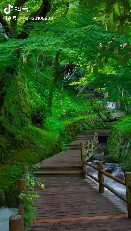 早安大自然天然氧吧一起享受大自然的美好风景好心情风景如画心旷神怡