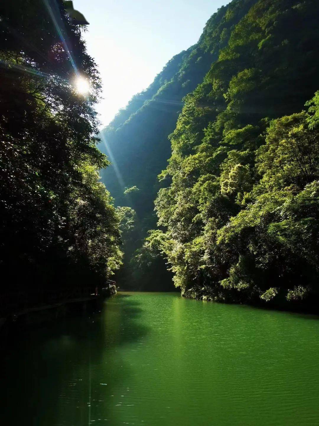 碧潭幽谷怡心亭是国家二级保护动物金佛山猕猴的聚集地,那里居住着上