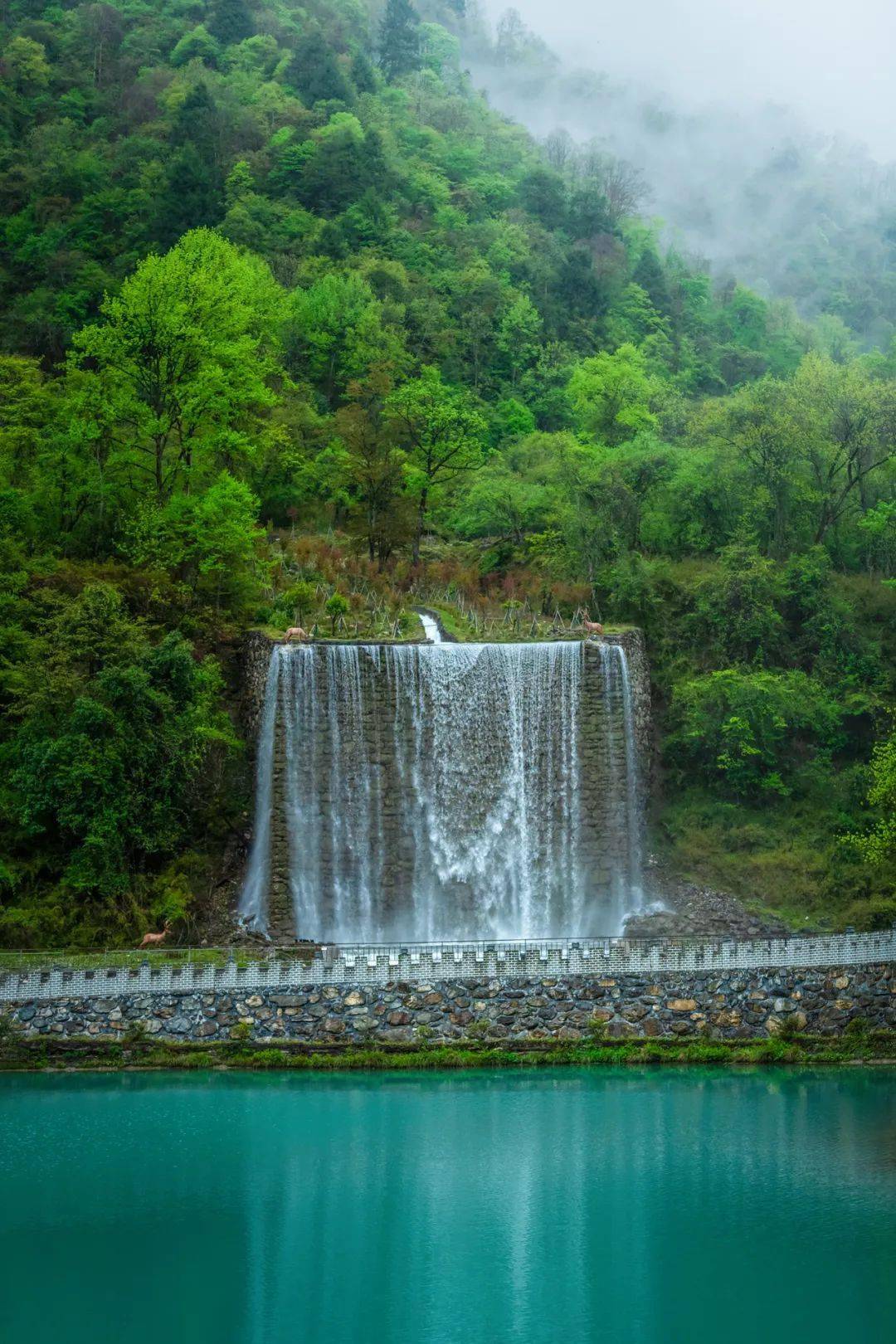 王岗坪景区图片