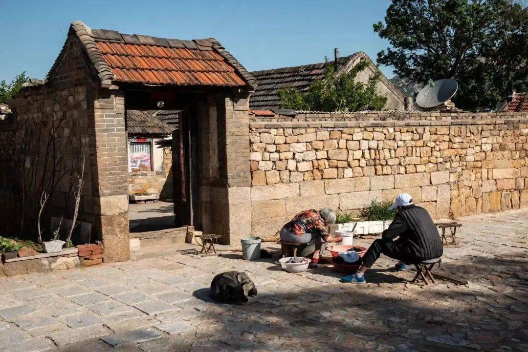 快来pick你心中的最美乡村!_崂山_晓望村_特色