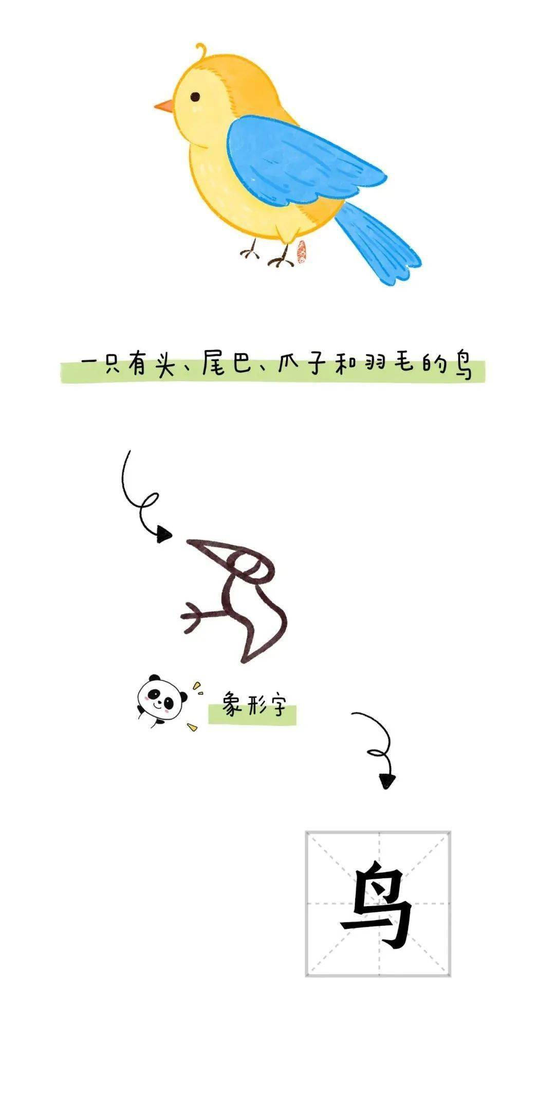 鸟35鱼34犬33羊32象31弓30刀29禾28目27耳26手25口24石23伞22苗21田20