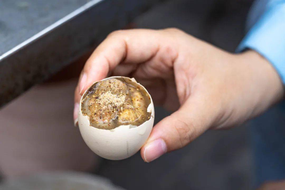 活珠子秒懂南京人的野性