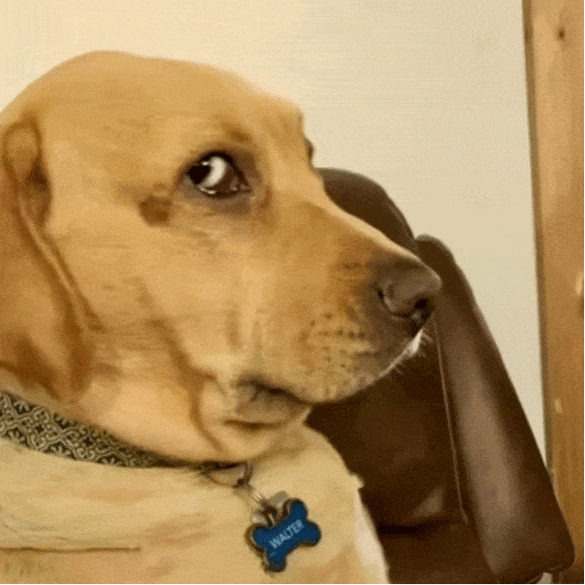 系啊 我介样的人整莫会被爱_侵权_网络_莫会