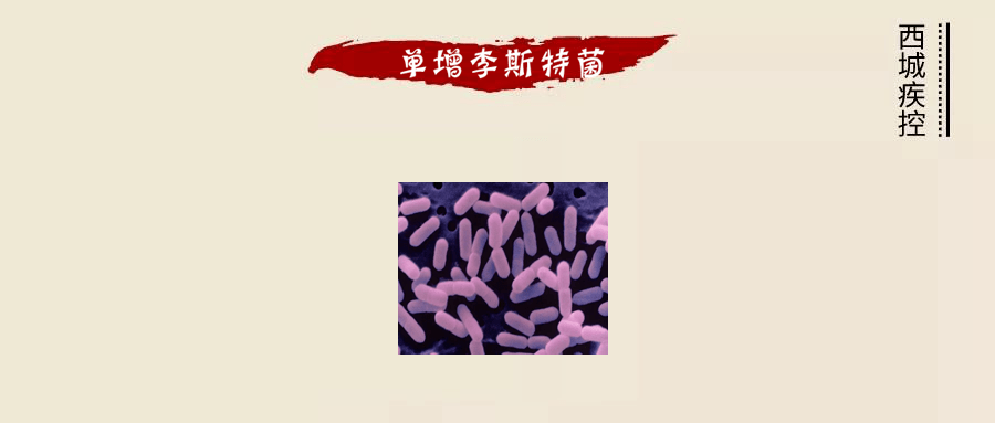 潜伏在冰箱中的冷酷杀手单增李斯特菌