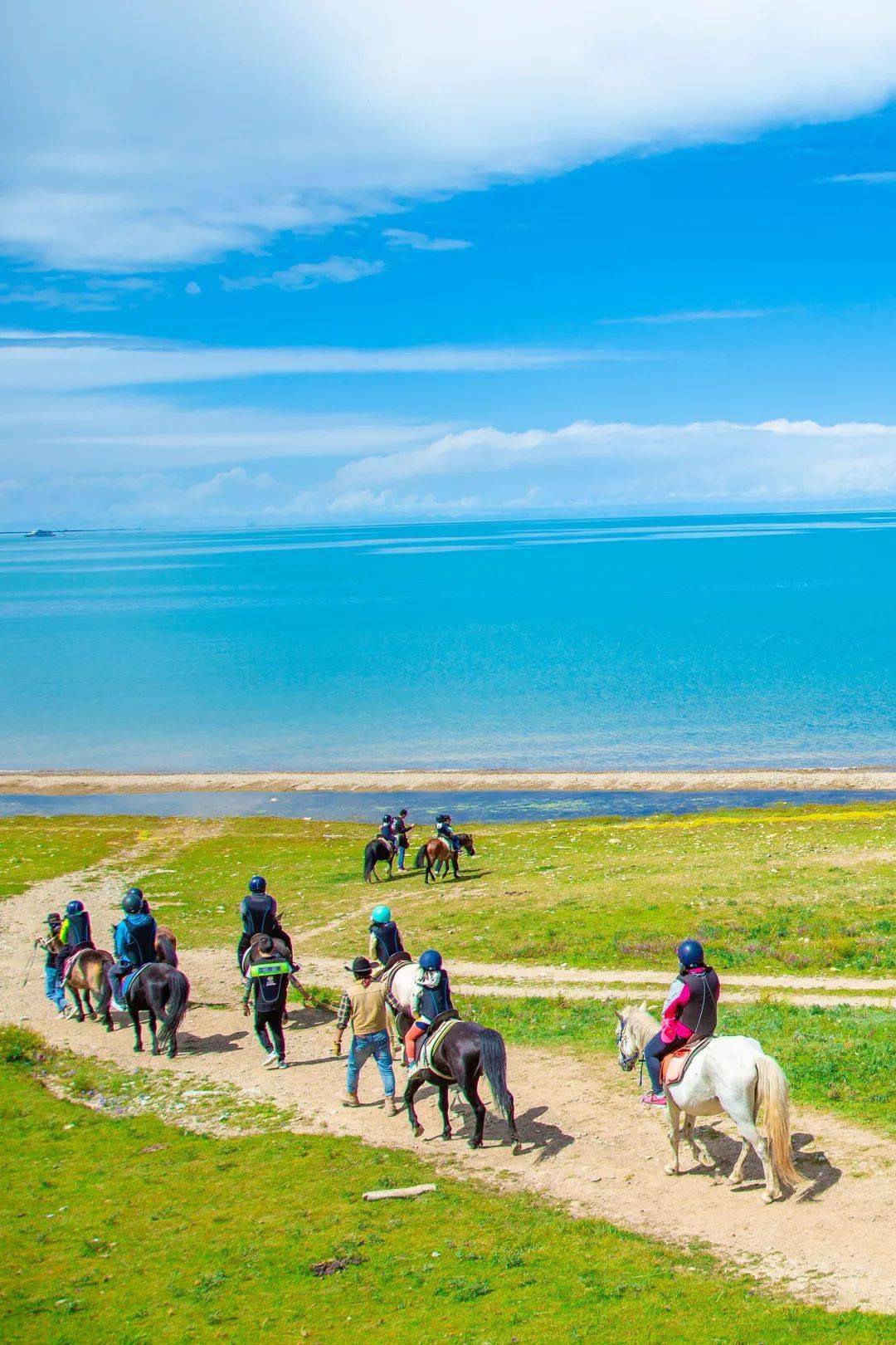 我们将从青海湖畔油菜花海骑行到青海湖边,与青海湖一起拍一张帅气的