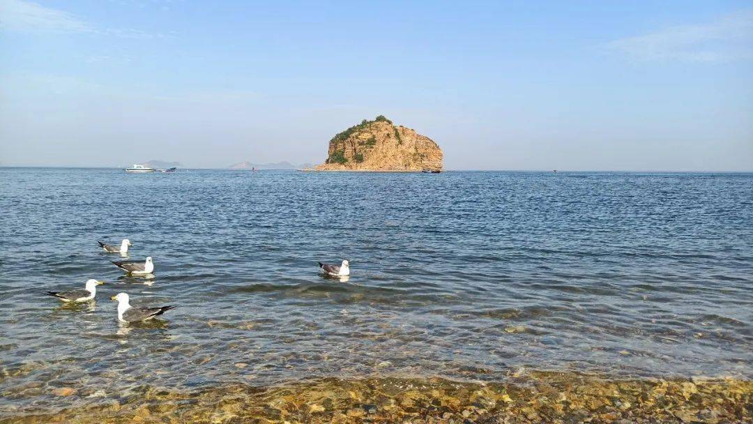 关于大连风景如画的棒棰岛