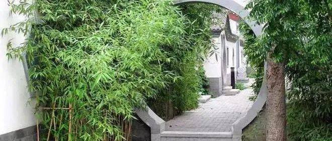 为什么中式庭院里一定要有竹?_竹子_象征_寓意