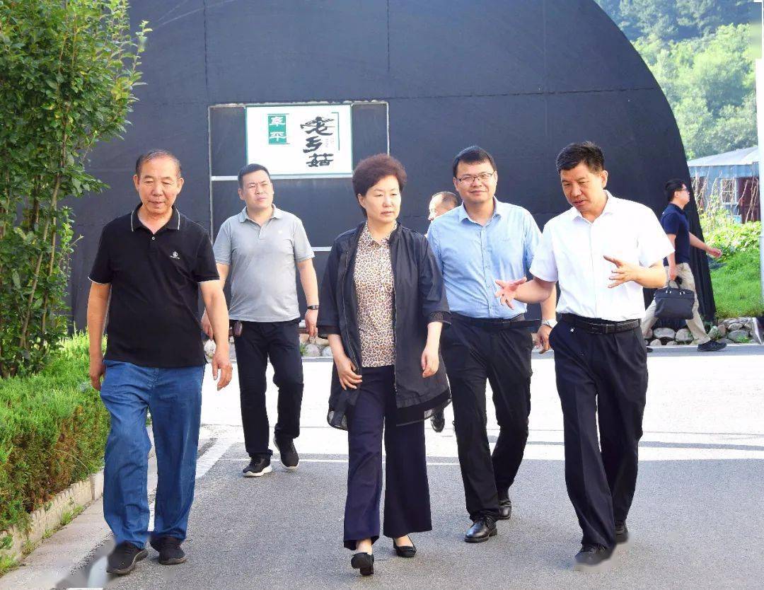 保定市人大常委会第四执法检查组就五项联动监督和"6 1"联动监督"回头