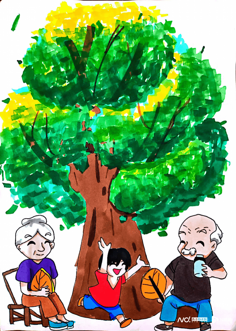 我身边的大树金奖龙眼树乡里情