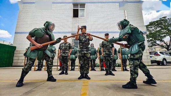 橄欖綠武警天津總隊執勤第四支隊武警天津總隊機動支隊武警金華支隊