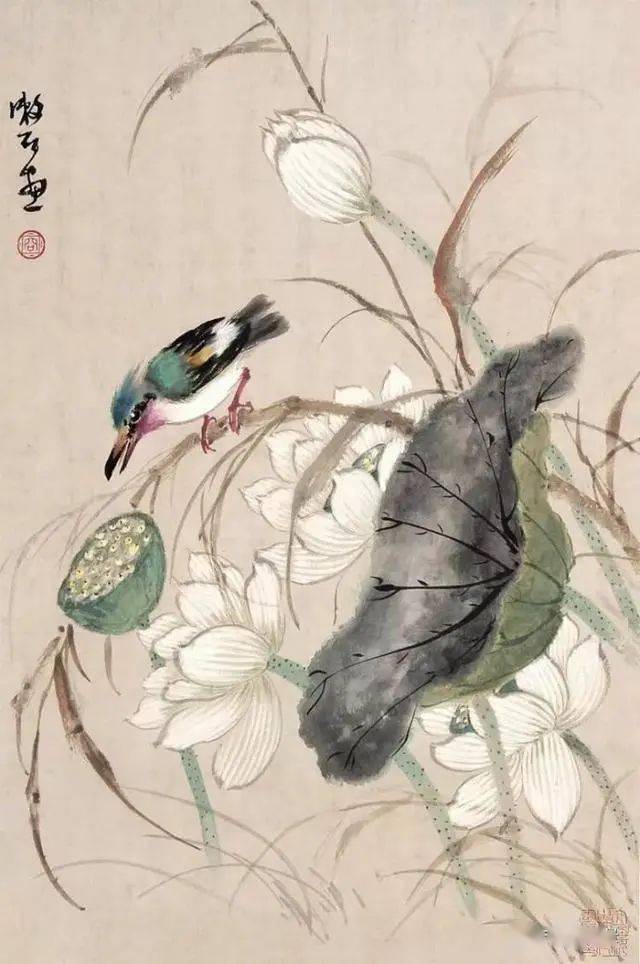 容漱石画荔枝图片