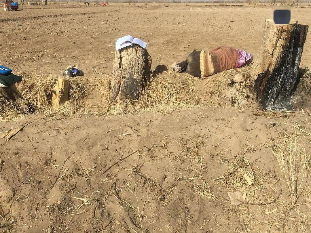 视频那边的朋友紧接着问了一句:她一紧张,手机掉落,插进了屎坑里.