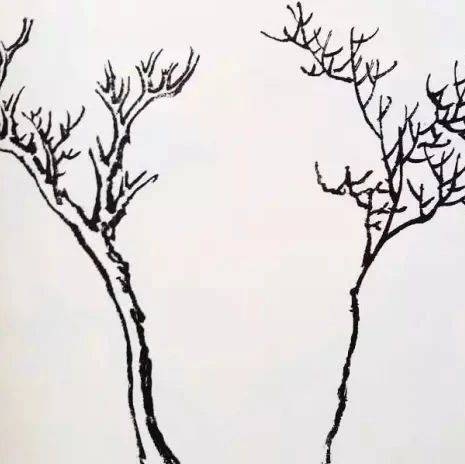 溥心畬课徒画稿:树枝干的画法_薄也_竹苇_茅之
