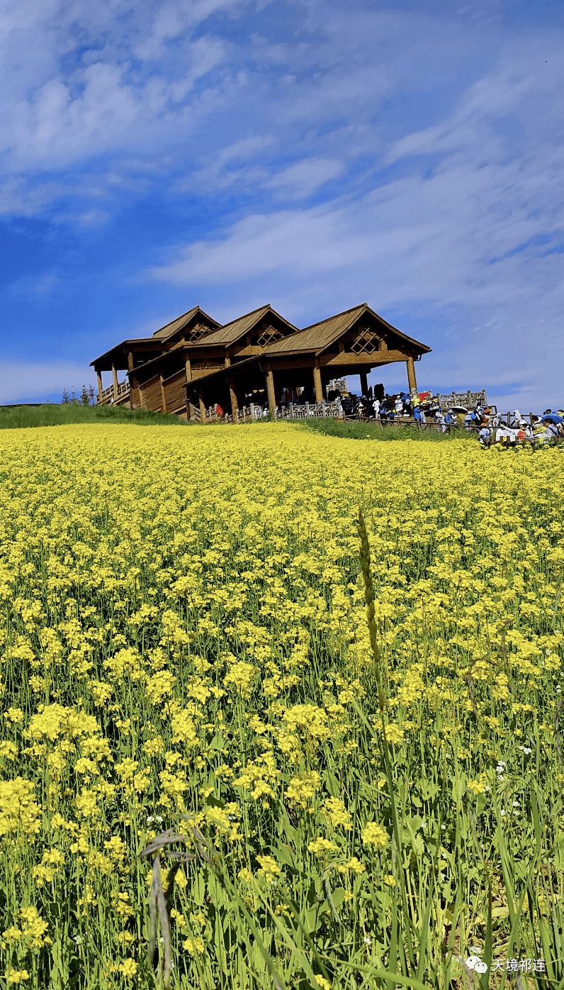 风景如画遗世独立没到过这里你怎知诗和远方的模样