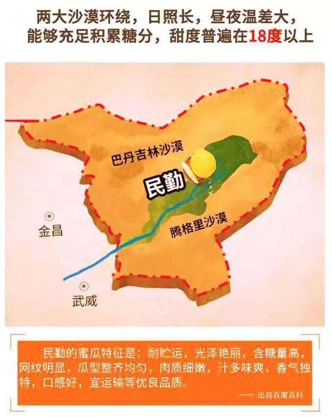 民勤人防风固沙很苦 ,民勤蜜瓜却很甜!甜到了心里_风沙_沙漠_新疆