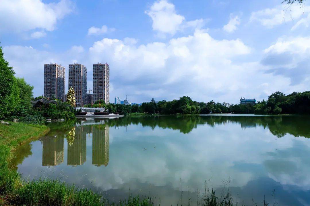 羅平這個寶藏避暑公園,自帶