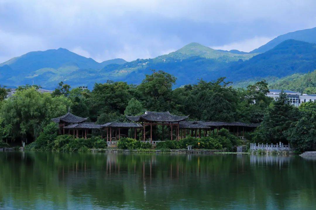 羅平這個寶藏避暑公園,自帶