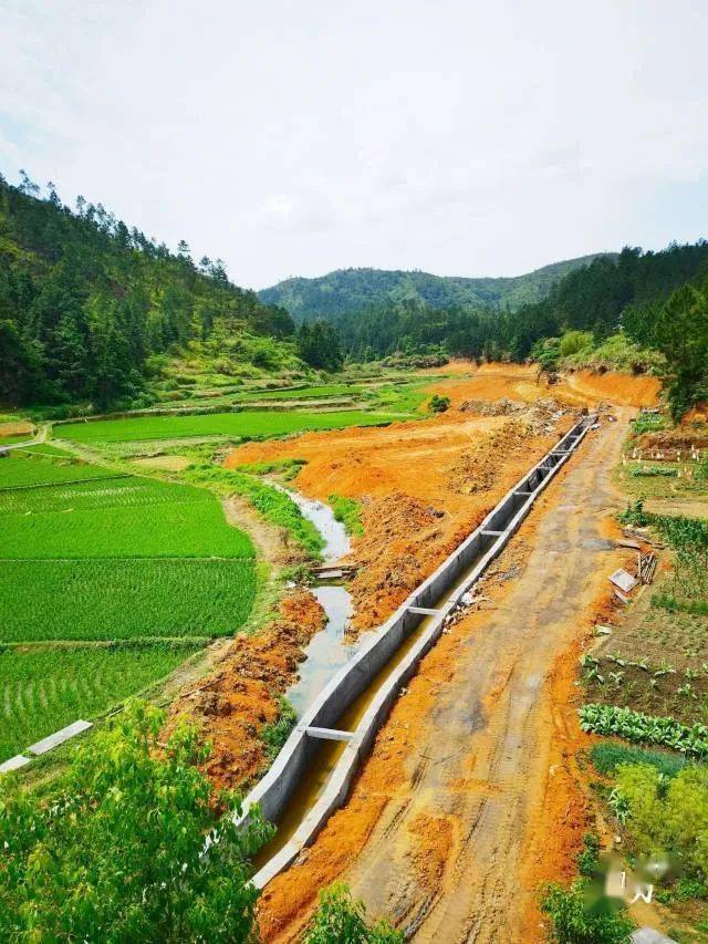 五华县长布镇长生村农田基础设施完善后,村里的"荒田"变"抢手田".