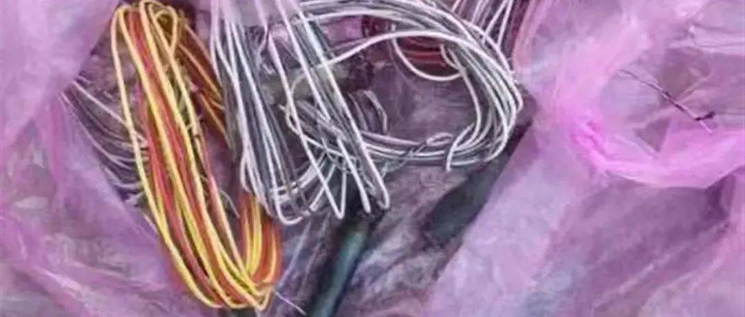 新洲一居民上交7枚雷管_郑某_群众_宣传