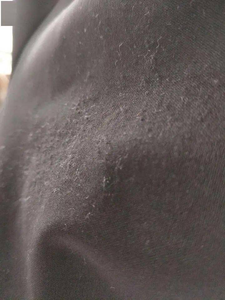 上身冰冰凉!降温-5℃太舒服了~_短裤_面料_裤子