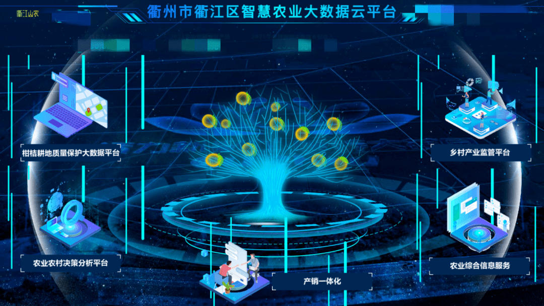 擦亮浙江"数字经济"金名片,衢州两区获省级表彰!_产业_企业_柯城区