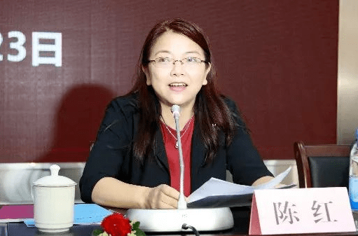 合浦人陈红,任崇左市人民政府副市长