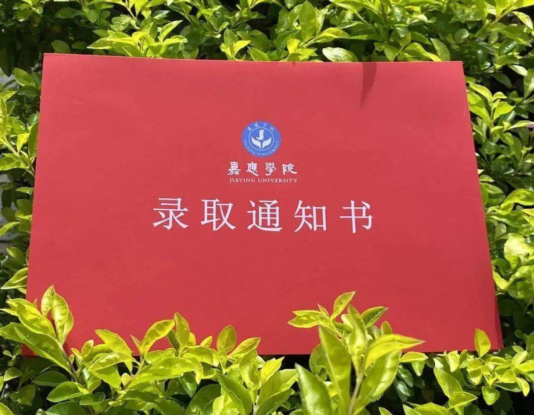 许昌学院最低录取分_2023年许昌学院录取分数线(2023-2024各专业最低录取分数线)_许昌学院2020录取最低分