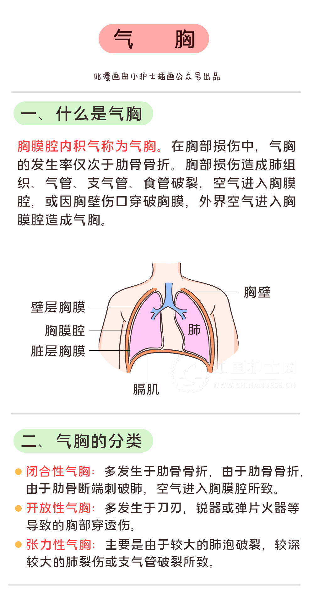 气胸线怎么看图片