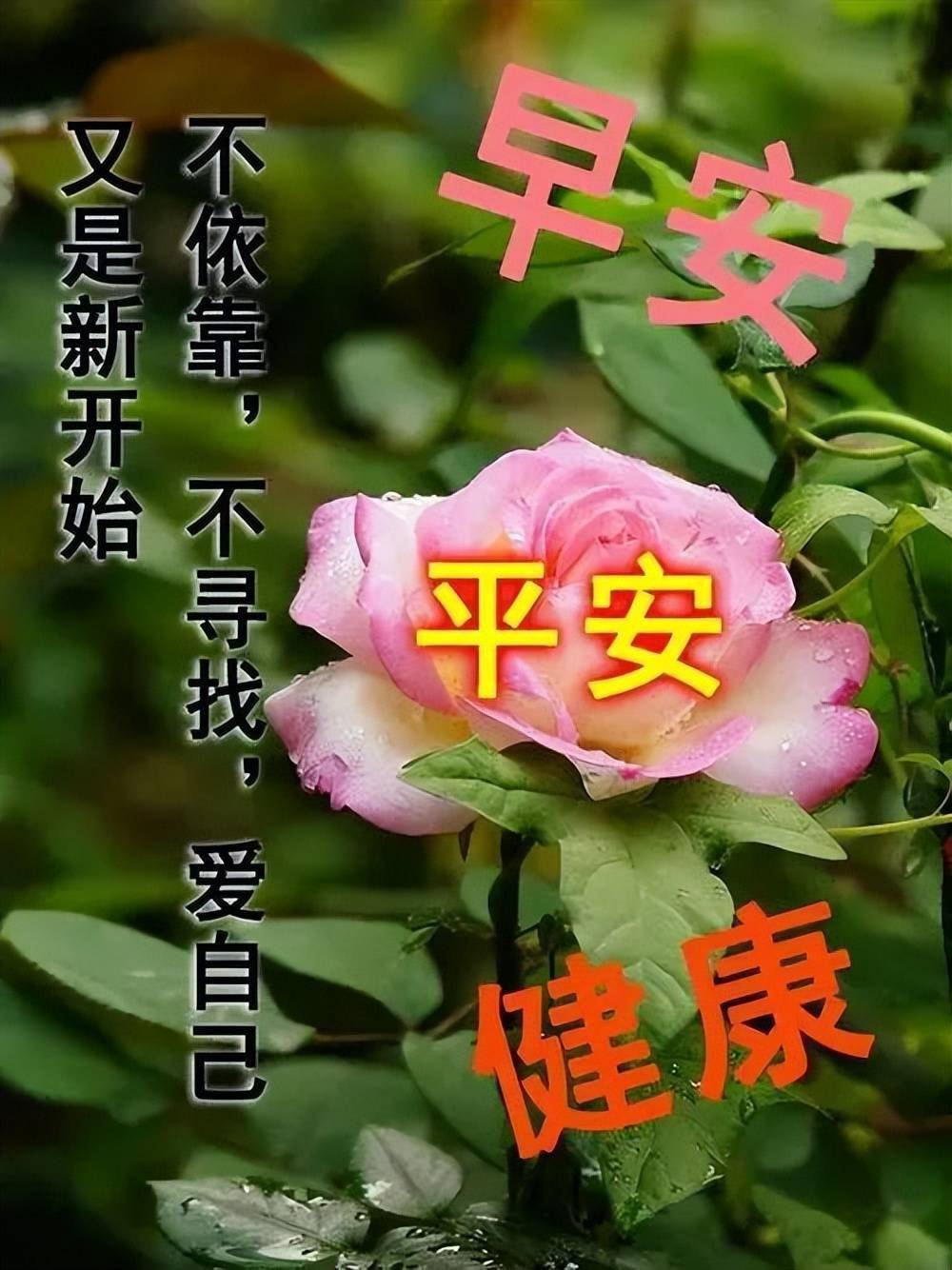 最新早上好表情包,打开是祝福,收到是安康