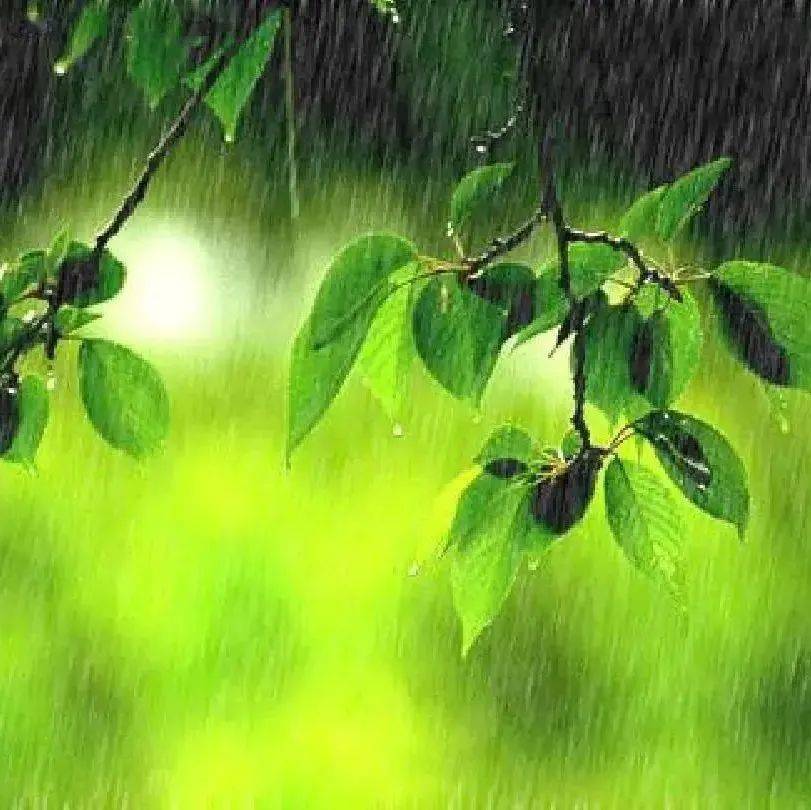 阵雨、雷阵雨！永州即将降温_高温_湘北_天气