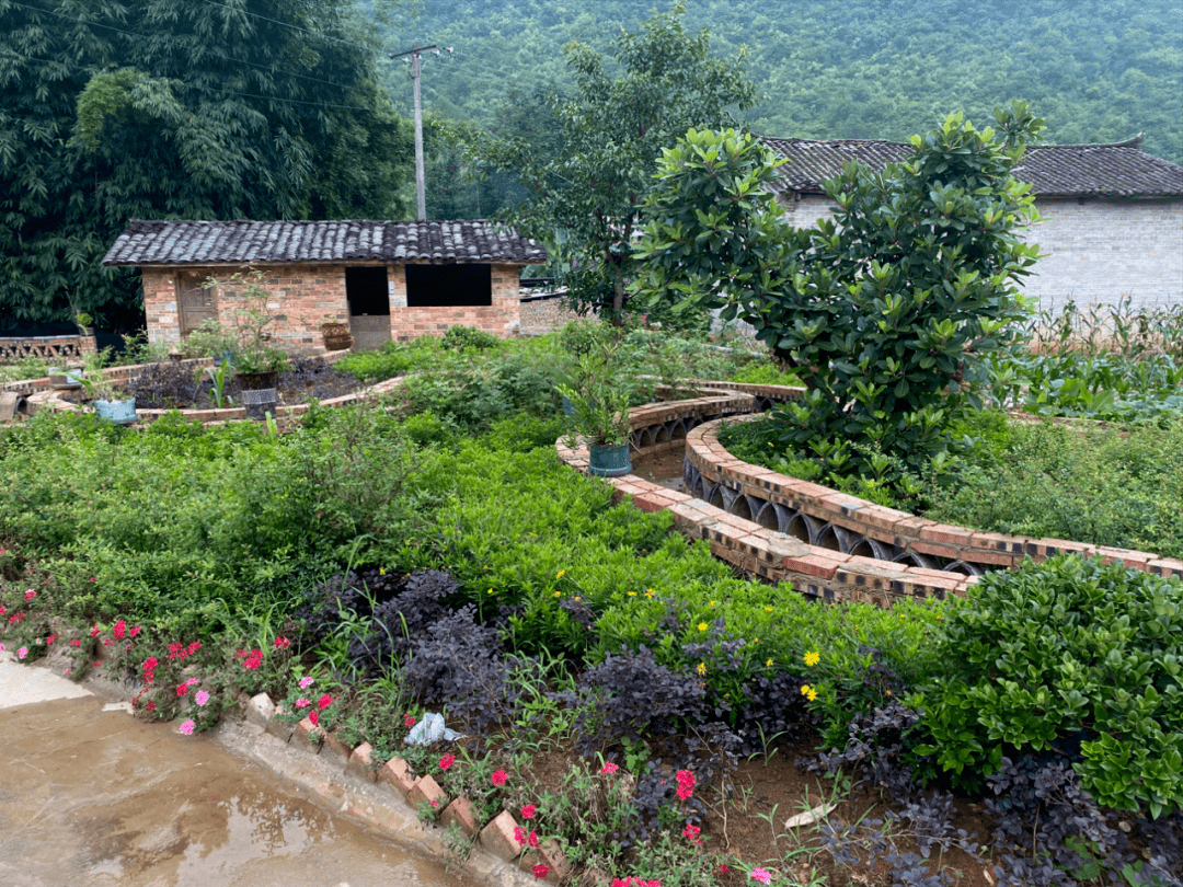 村里一个个美丽的小景观,小花园展露出"高颜值"抖落满身"尘埃"曾经的