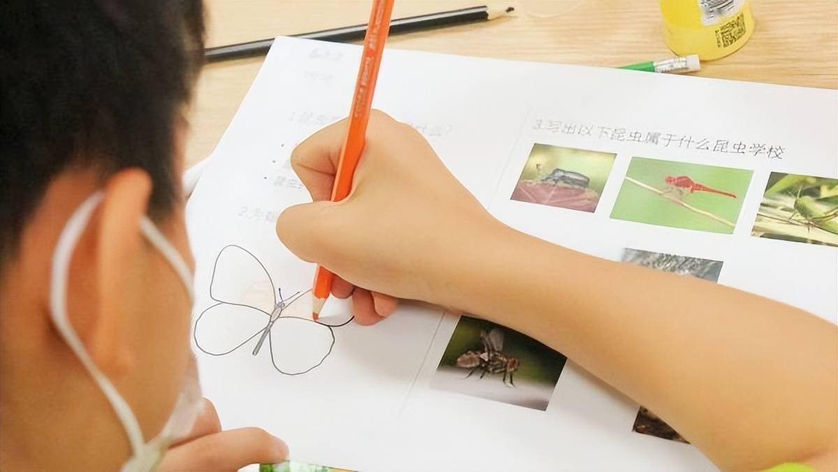 武汉市教育局,共青团武汉市委主办,武汉林学会,现代少年报,长江日报