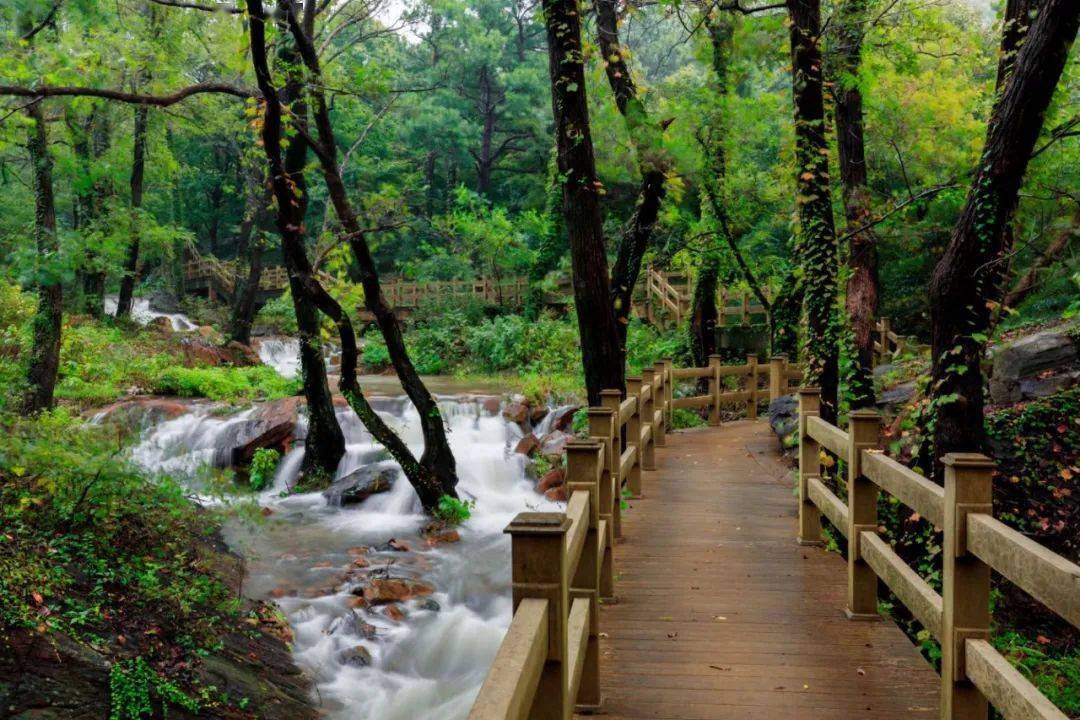 雨后大花果山 | 云雾缭绕,流泉飞瀑,好一个人间仙境!_渔湾_景区_流水