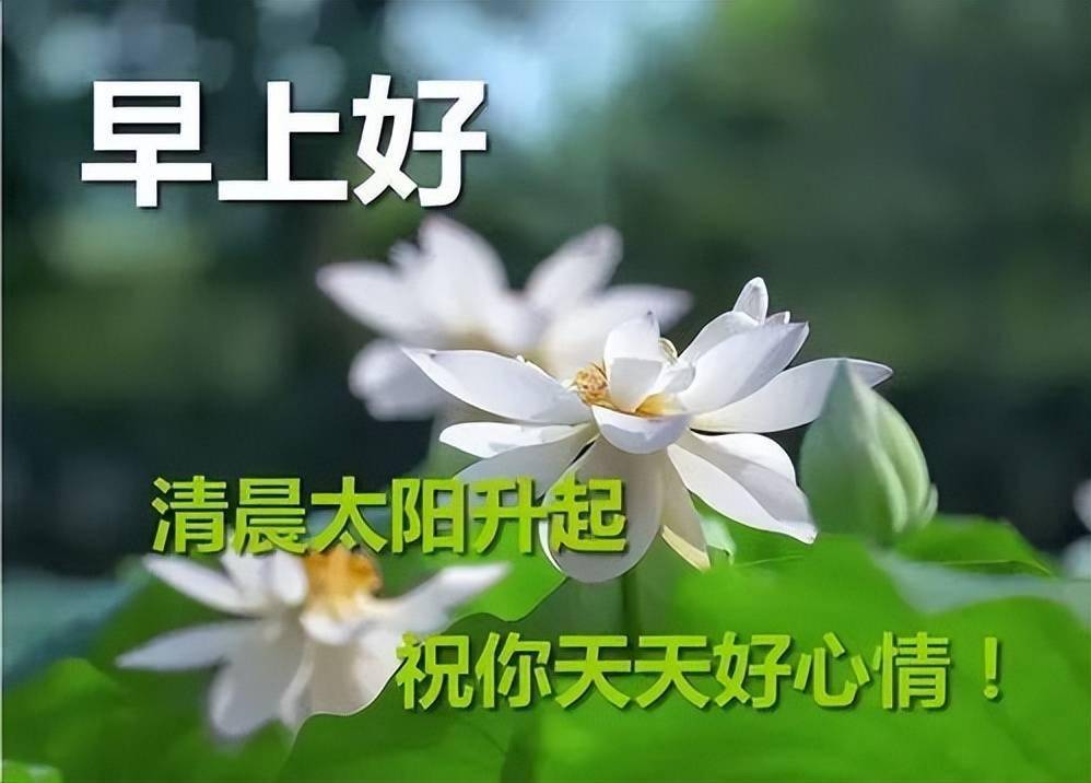 炎热天的问候语图片图片