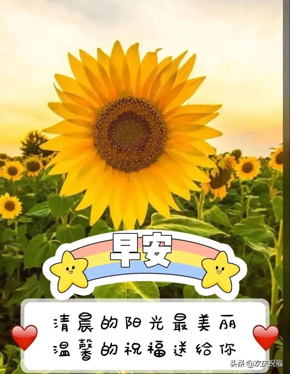 非常好看的夏天唯美溫馨的早安圖片帶字早上好問候語溫馨圖片帶字