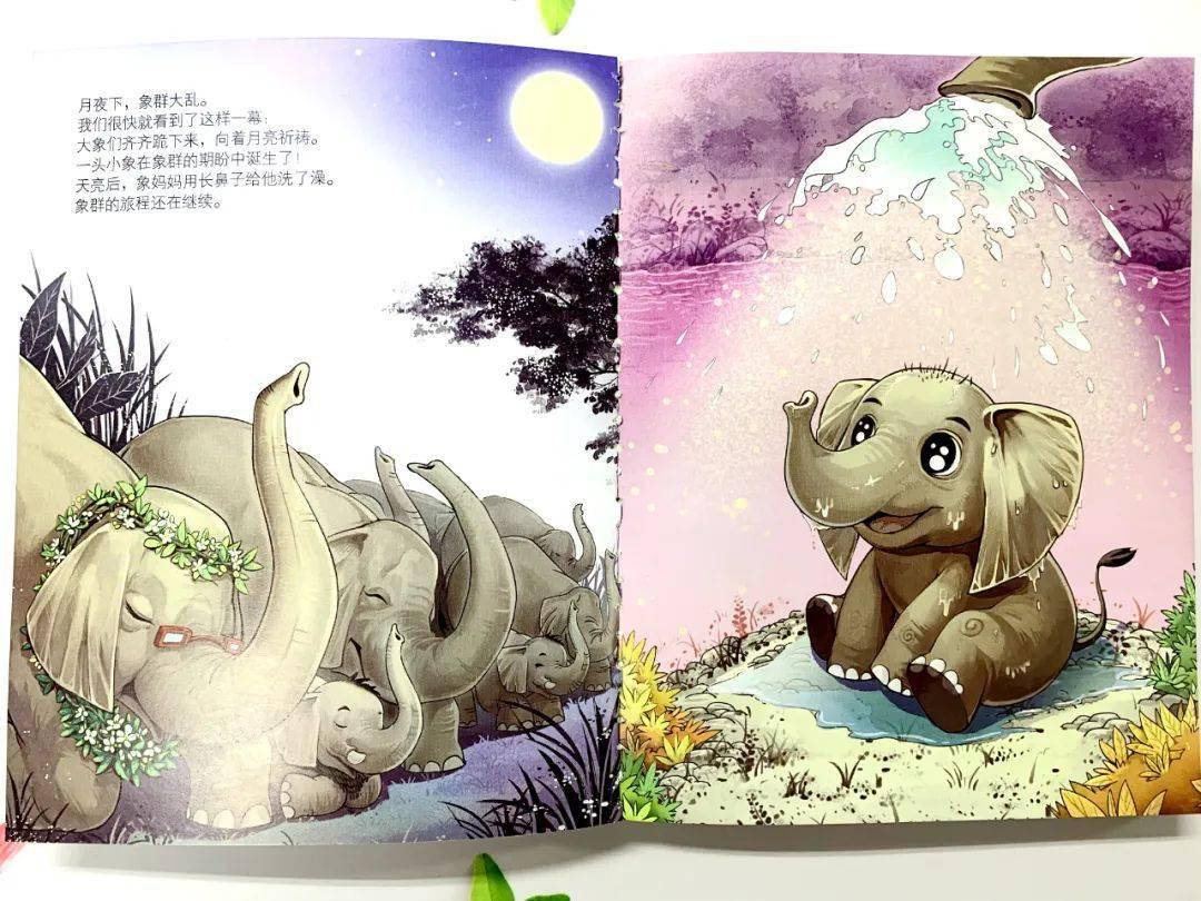 阅见| 杨红樱最新"笑猫日记"系列:《大象的远方》陪着童年,出发!