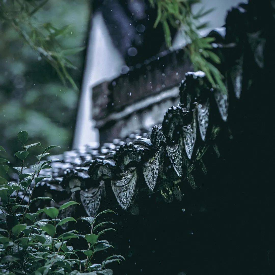 夏天,那些沾染着雨意的宋词_疏雨_玉钩_燕子