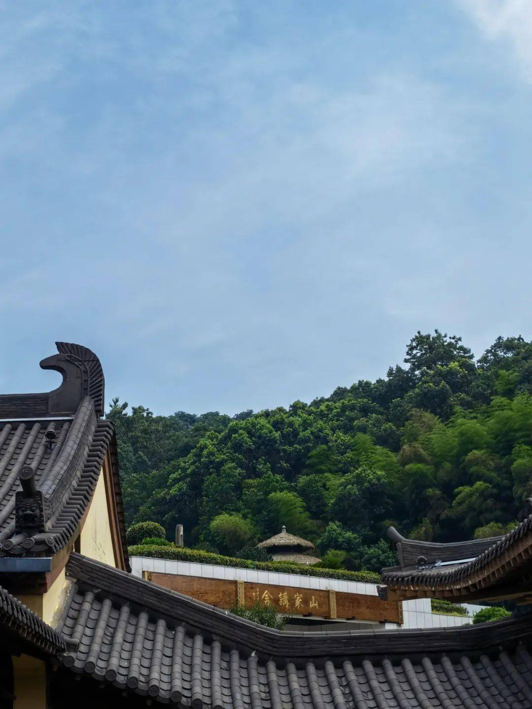 正信正行丨如何是"六根清净"?_生理学_生死_因为