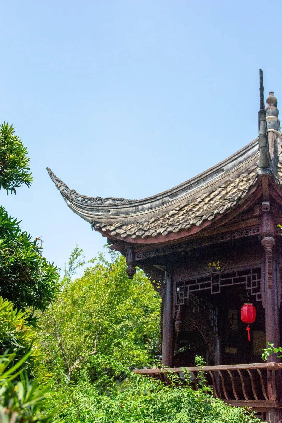 三邑园艺——大暑将至,此去闲游_盆景_艺术_温江