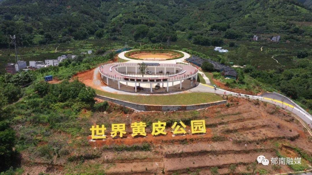 建城镇:"致富果"背后的故事_黄皮_郁南_建设