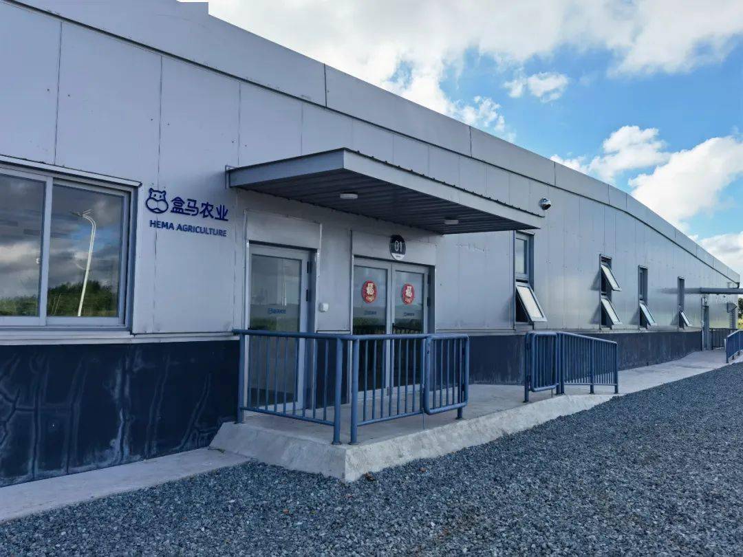 估值缩水盒马进入"艰苦创业"时代