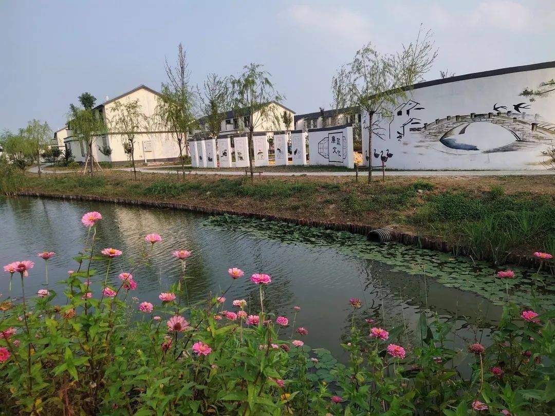 沭阳县吴集镇塔桥村:近看玲珑宝"塔","桥"见幸福生活——带你走进魅力